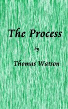 The Process: Nine Essays on the Experience of Writing Fiction & 