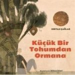 Kücük Bir Tohumdan Ormana