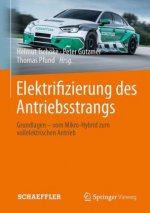 Elektrifizierung des Antriebsstrangs