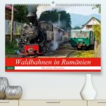 Waldbahnen in Rumänien - Die letzten Mocanitas(Premium, hochwertiger DIN A2 Wandkalender 2020, Kunstdruck in Hochglanz)