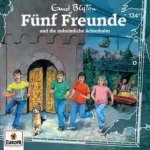 Fünf Freunde 134 und die unheimliche Achterbahn