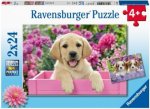 Ravensburger Kinderpuzzle - 05029 Freunde mit Fell - Puzzle für Kinder ab 4 Jahren, mit 2x24 Teilen