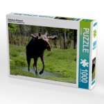 CALVENDO Puzzle Grönåsen Elchpark 1000 Teile Lege-Größe 64 x 48 cm Foto-Puzzle Bild von Udo Haafke