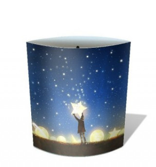 Dreamlights Starcatcher