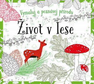 Omalovánky Život v lese