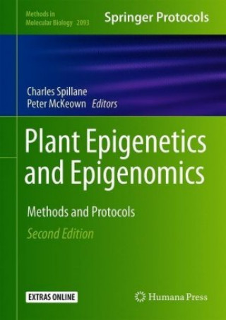 Plant Epigenetics and Epigenomics