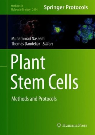 Plant Stem Cells
