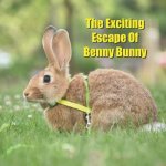The Exciting Escape Of Benny Bunny: A Cute Tale of a Rascally Rabbit