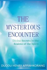 Mysterious Encounter