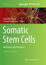 Somatic Stem Cells