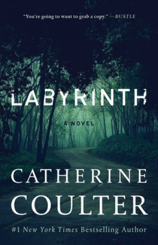 Labyrinth: Volume 23