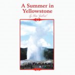 Summer in Yellowstone