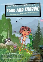 Misadventures of TOOD AND TABOON