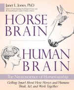 Horse Brain, Human Brain