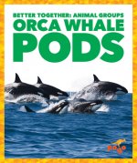 Orca Whale Pods