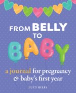 From Belly to Baby: A Journal for Pregnancy and Baby's First Year