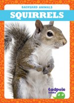 Squirrels