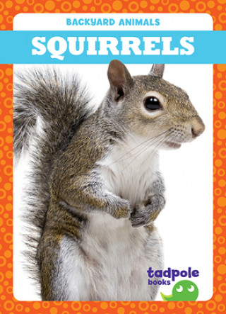 Squirrels