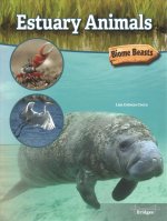 Estuary Animals