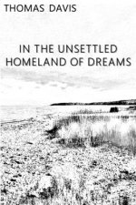 In the Unsettled Homeland of Dreams