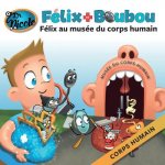 Félix au musée du corps humain: Corps humain