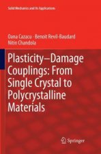 Plasticity-Damage Couplings: From Single Crystal to Polycrystalline Materials