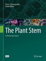 Plant Stem