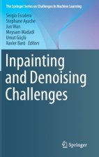 Inpainting and Denoising Challenges