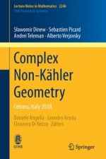 Complex Non-Kahler Geometry