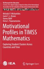 Motivational Profiles in TIMSS Mathematics