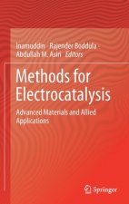 Methods for Electrocatalysis