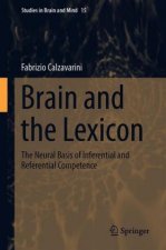 Brain and the Lexicon