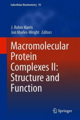 Macromolecular Protein Complexes II: Structure and Function