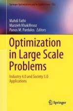 Optimization in Large Scale Problems