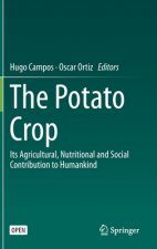 Potato Crop