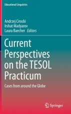 Current Perspectives on the TESOL Practicum