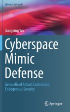 Cyberspace Mimic Defense