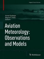 Aviation Meteorology: Observations and Models