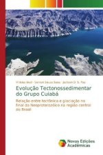 Evolucao Tectonossedimentar do Grupo Cuiaba