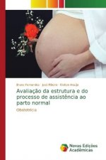 Avaliacao da estrutura e do processo de assistencia ao parto normal