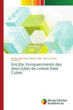 EnLiDa: Enriquecimento das descrições de Linked Data Cubes