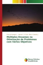 Múltiplos Enxames na Otimização de Problemas com Vários Objetivos
