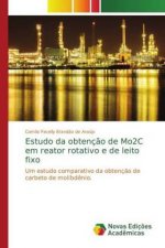 Estudo da obtencao de Mo2C em reator rotativo e de leito fixo