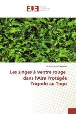 Les singes à ventre rouge dans l'Aire Protégée Togodo au Togo