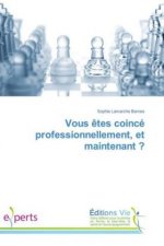 Vous êtes coincé professionnellement, et maintenant ?