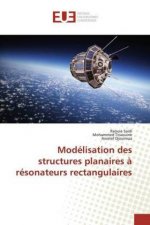 Modélisation des structures planaires à résonateurs rectangulaires