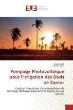 Pompage Photovoltaïque pour l'Irrigation des Oasis de Tozeur