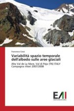 Variabilita spazio temporale dell'albedo sulle aree glaciali