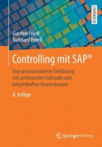 Controlling Mit Sap(r)