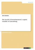Die Société d'investissement à capital variable in Luxemburg